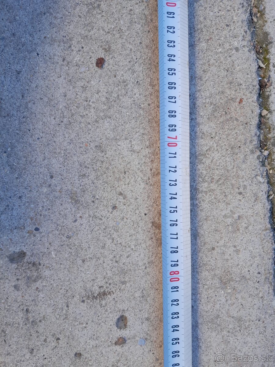 Predám 70 ročného medveďa - 3