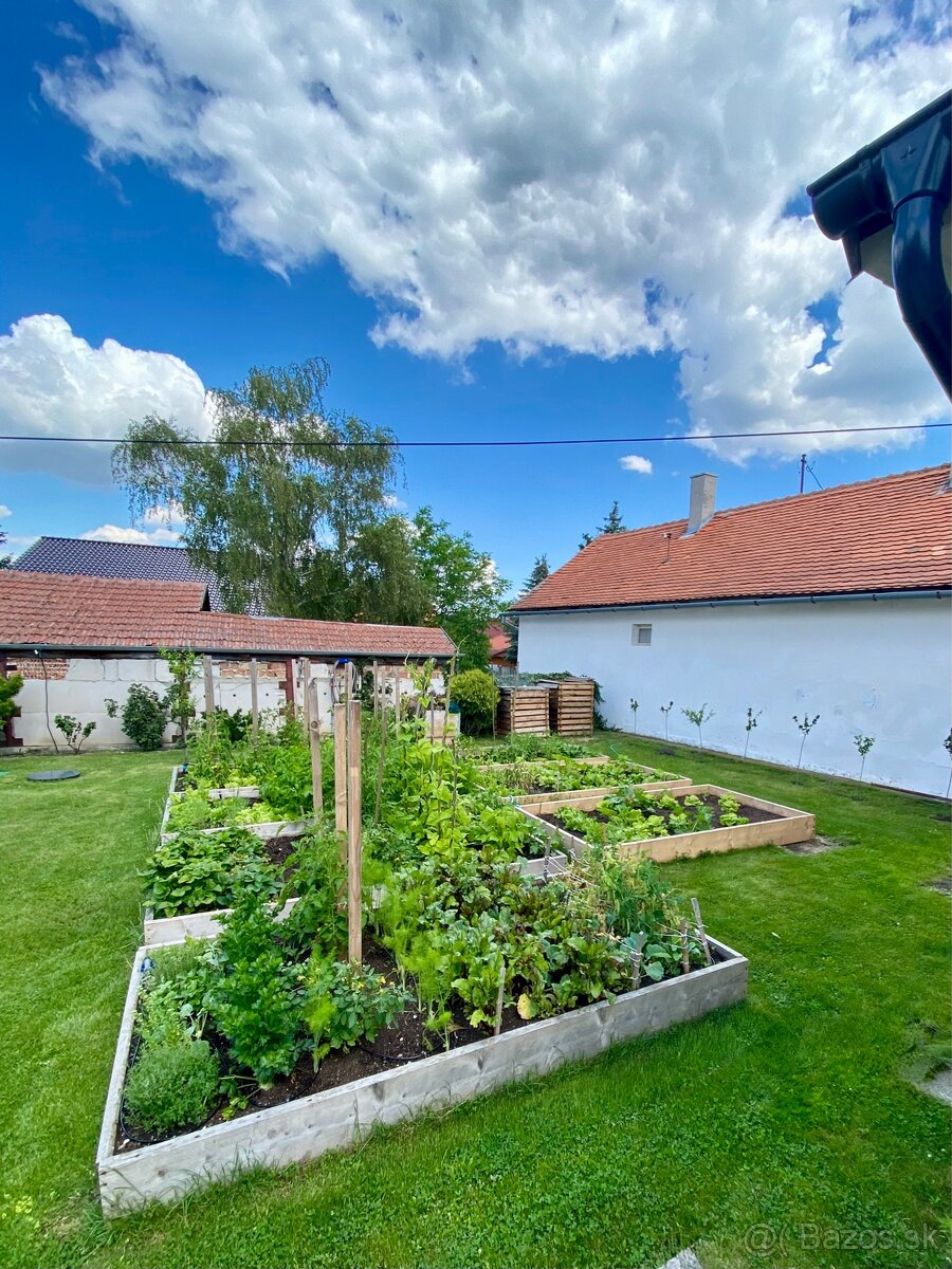 RD/chalupa v Borskom Mikuláši - 3