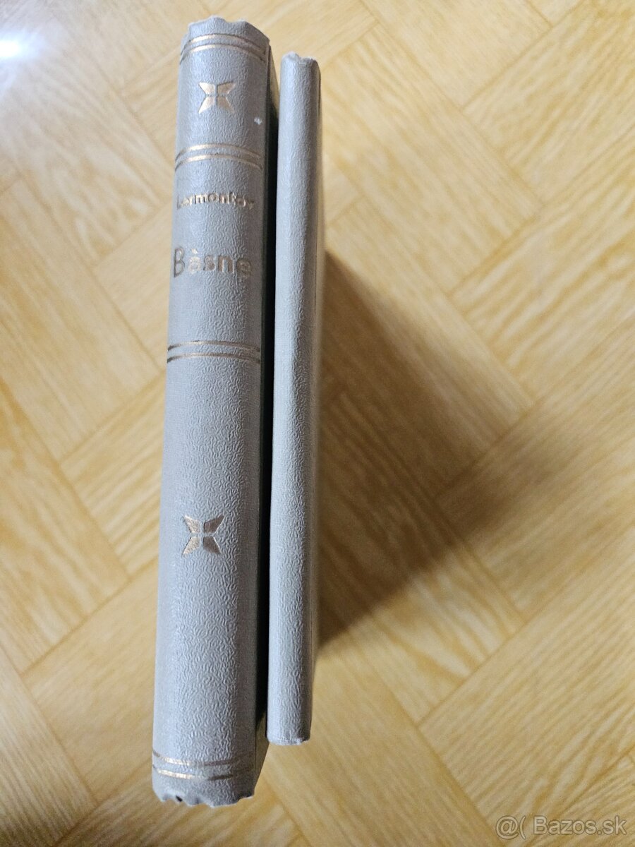 Lermontov, Puskin - 3