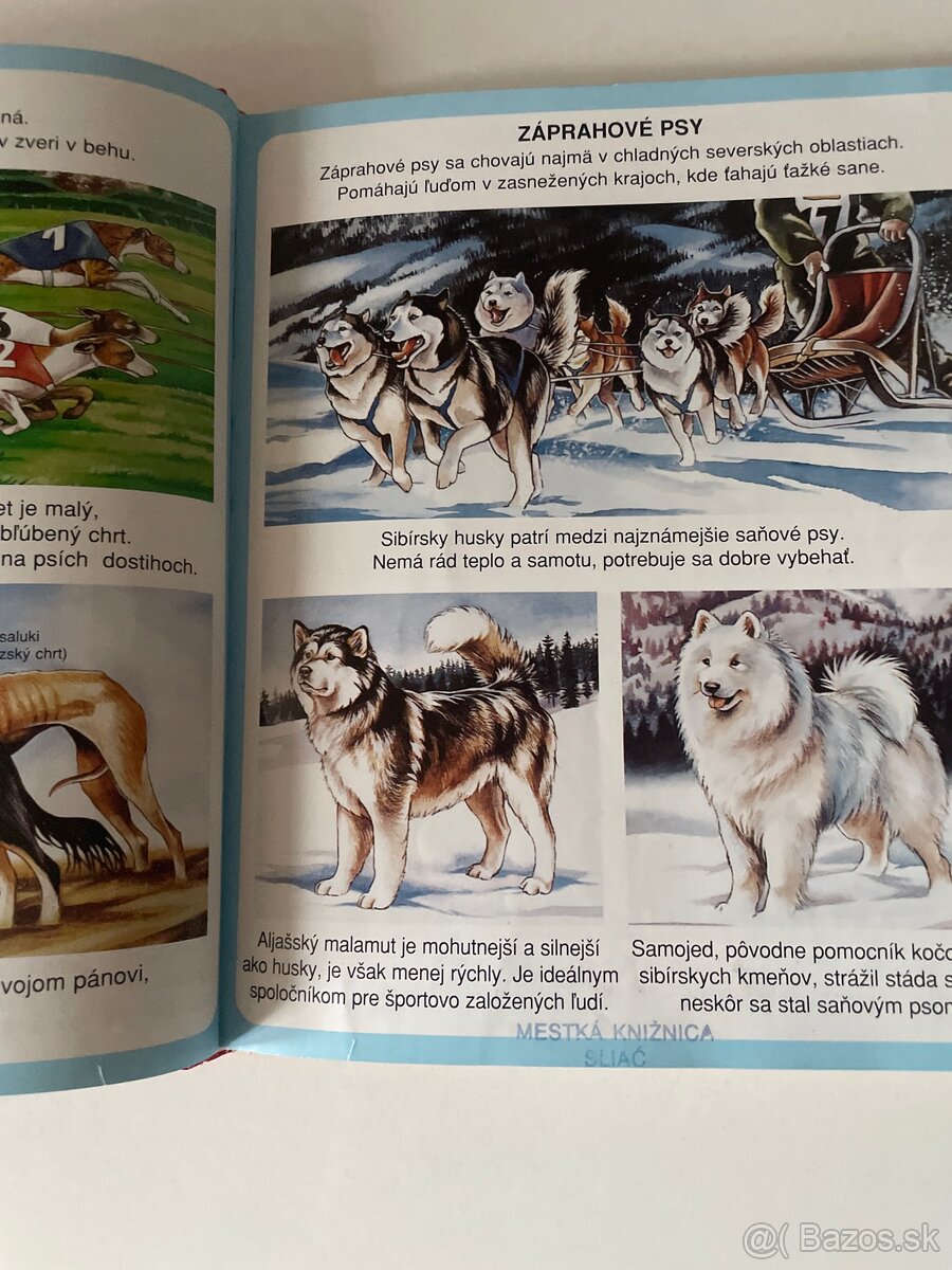 Leví kráľ Walt Disney,Bambi - 3