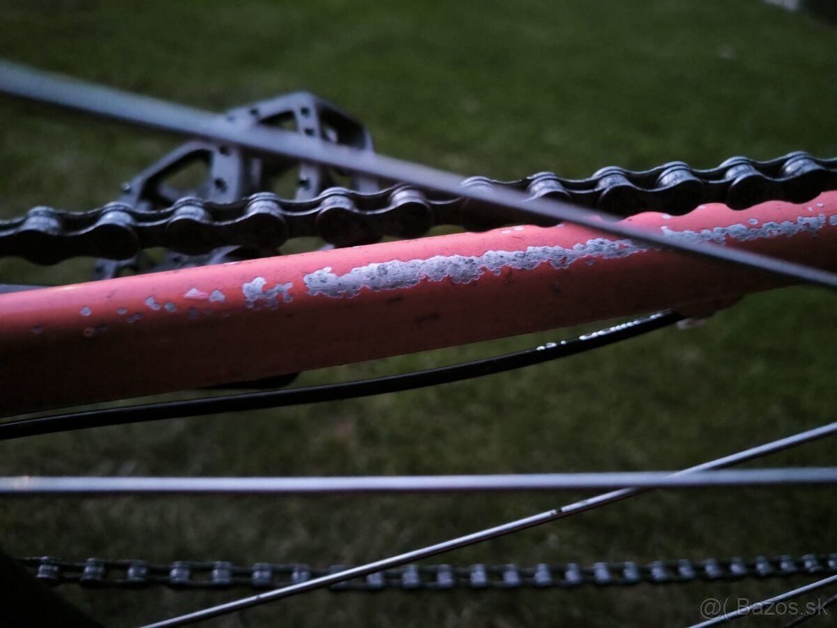 Specialized Rockhopper 29 - 3