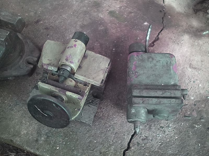 zverák, koník, ... - 3