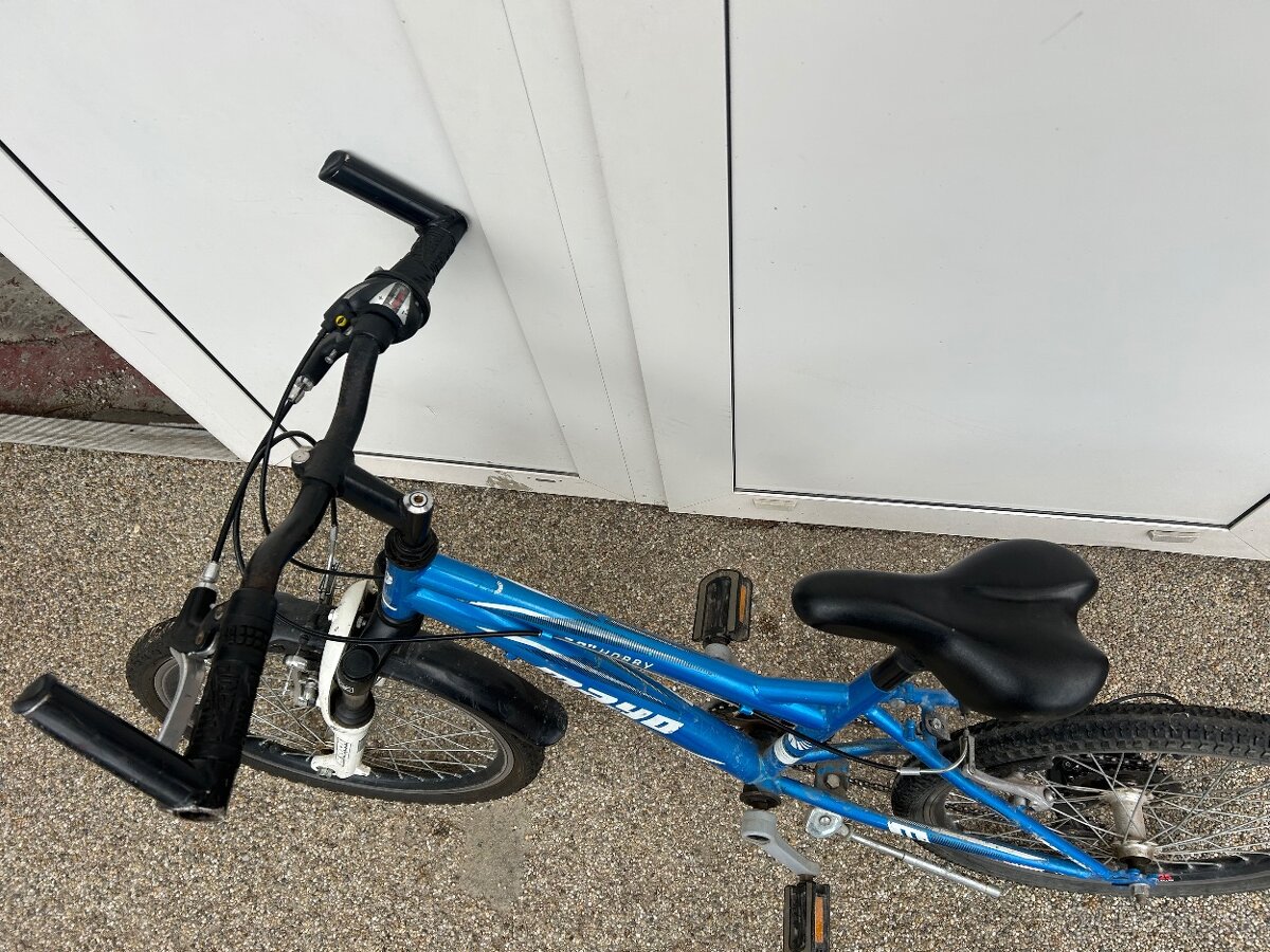 Detsky bicykel veľkosť rámu 20 - 3