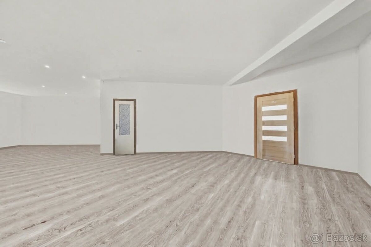 Obchodny priestor Dunajska Streda - 3