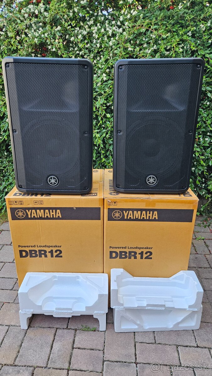 Yamaha dbr12 - 3