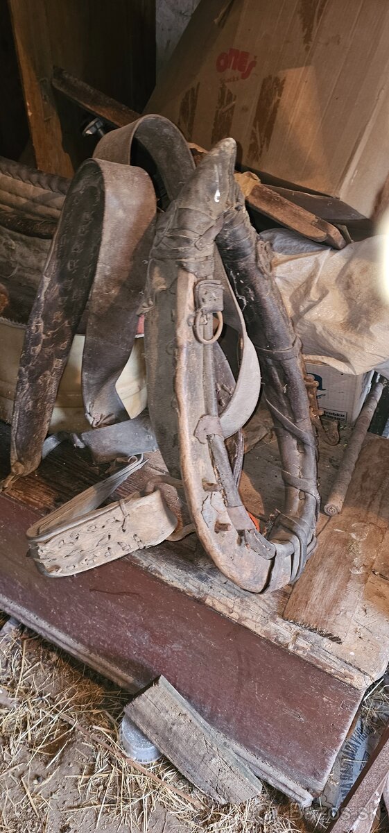 Chomunt na koňa - 3