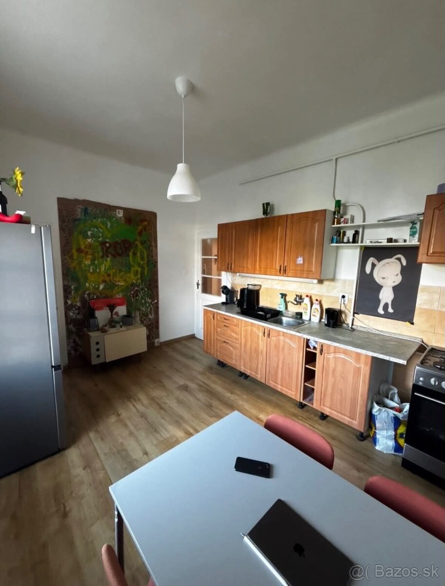 HĽADÁM SPOLUBÝVAJÚCEHO, 220€/MESIAC‼️, QUEER FRIENDLY - 3