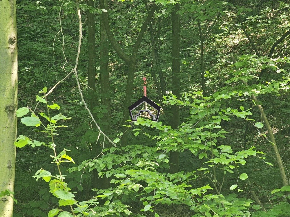 Záhrada vo Zvolene - 3