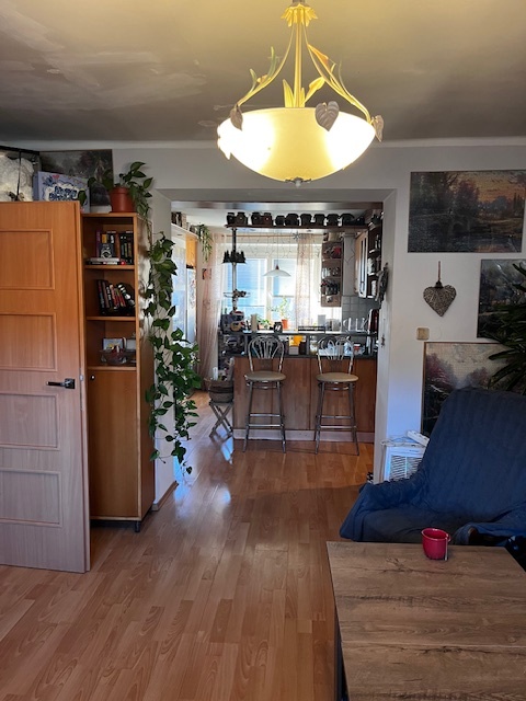 Predaj - 3 izb. byt s garážou v kúpeľnom meste Sliač - 3