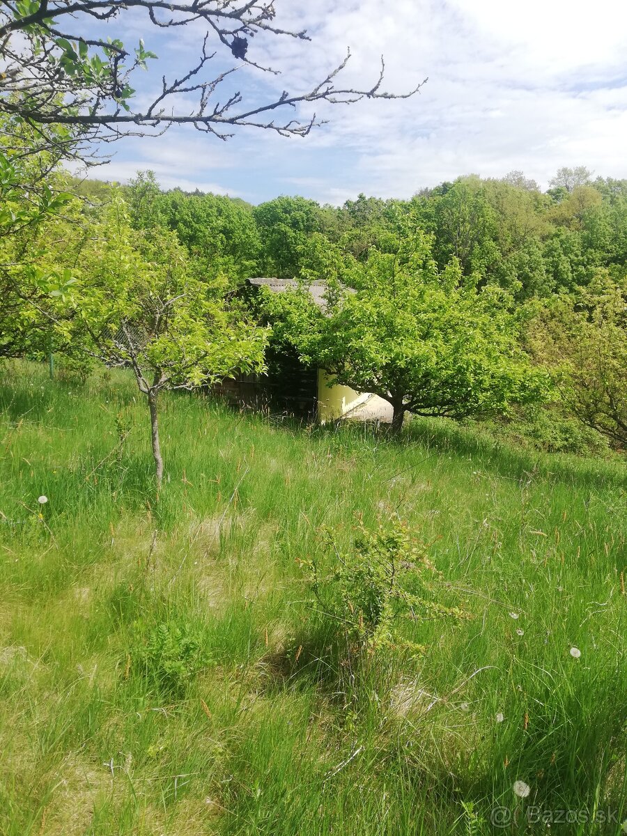 Predám záhradu - 3