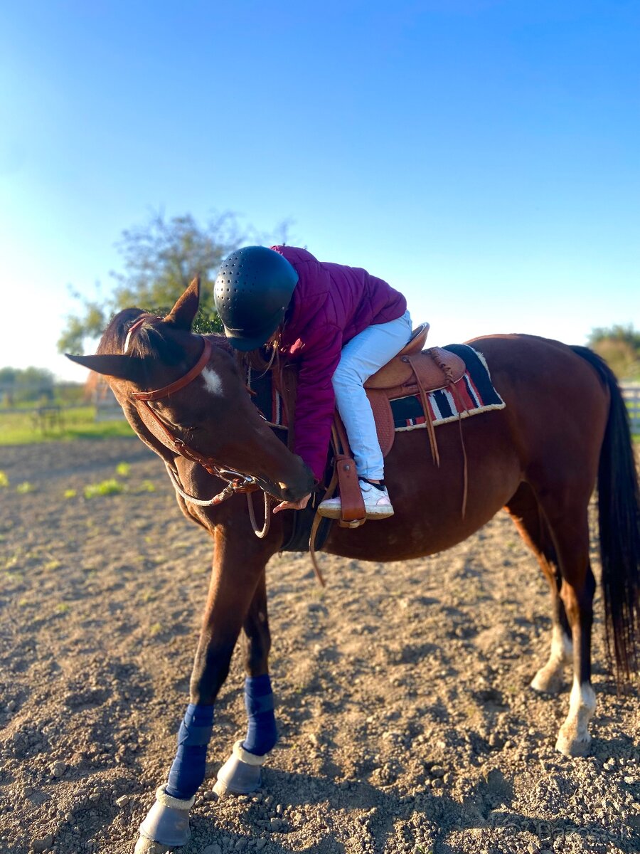 Jazdenie,vychádzky - 3