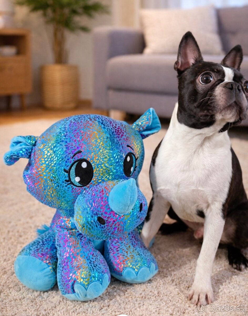 Bostonský terier s PP - 3