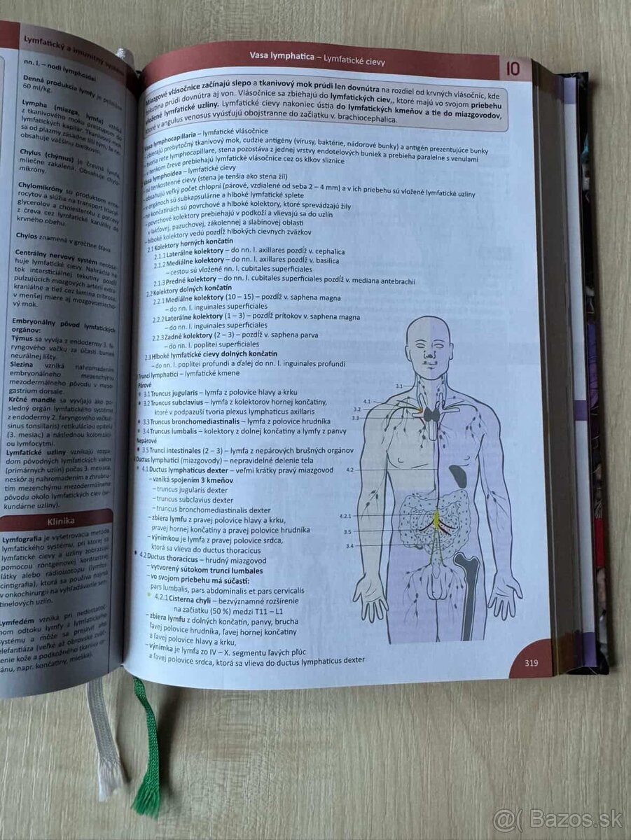 Memorix Anatómie - 3