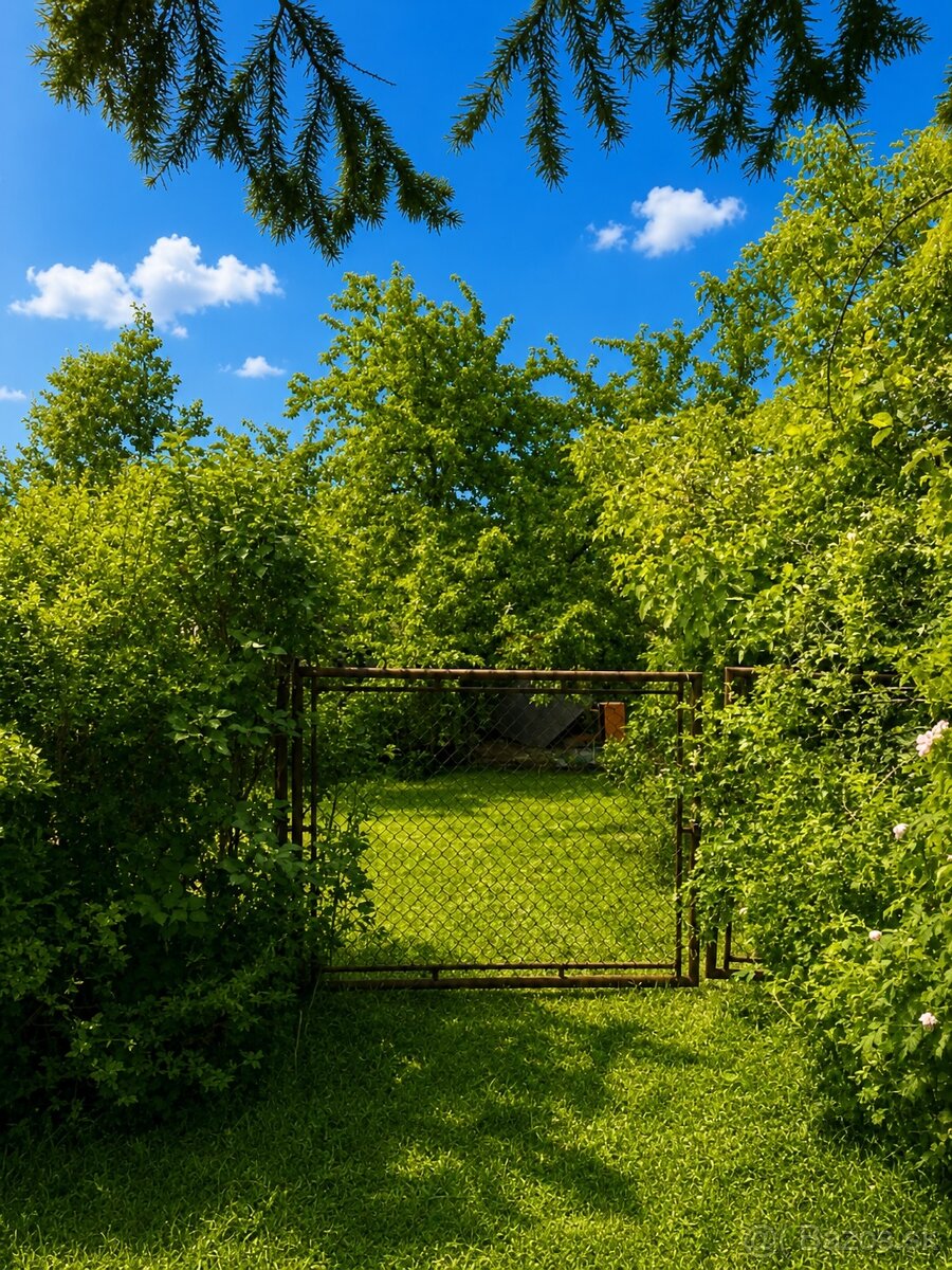 Záhrada nad Stromovou ulicou - 3