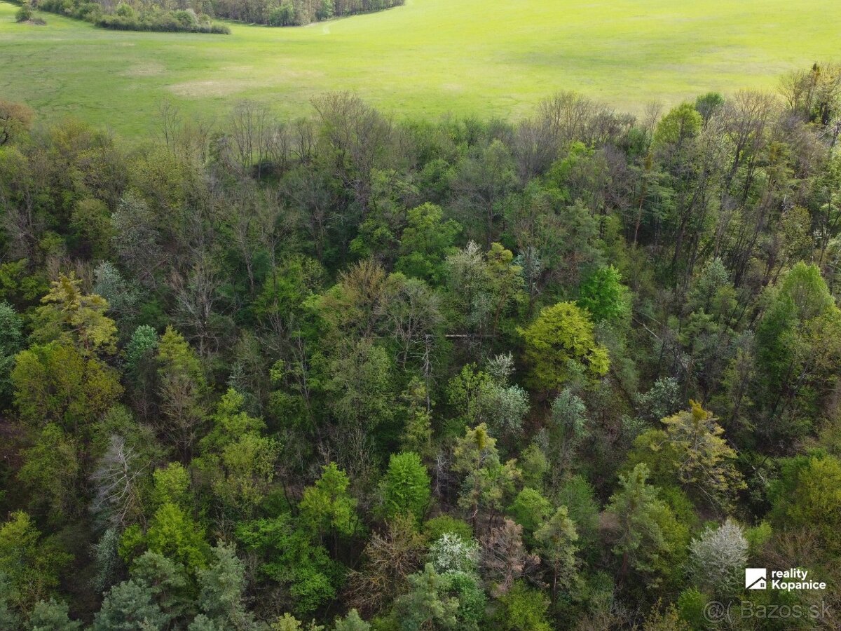 Veľký rekreačný pozemok, Brezová pod Bradlom - 3