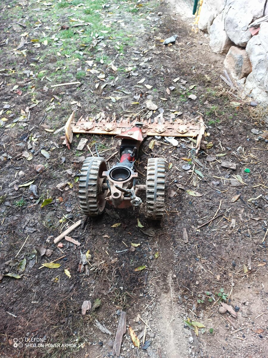 Kosačka na teru - 3