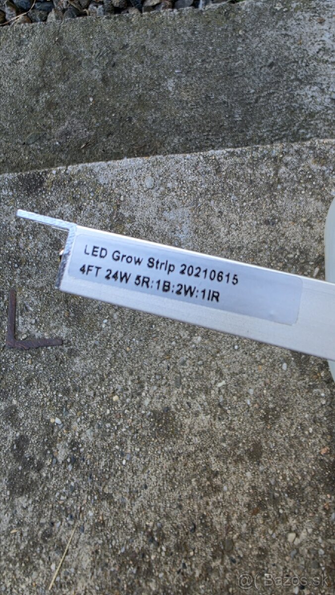 Grown Led - 3