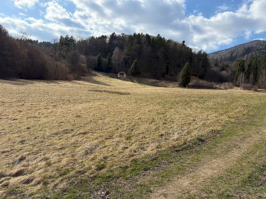 Pozemok nad Lazkami 7767 m2 - obec Bystrička - 3