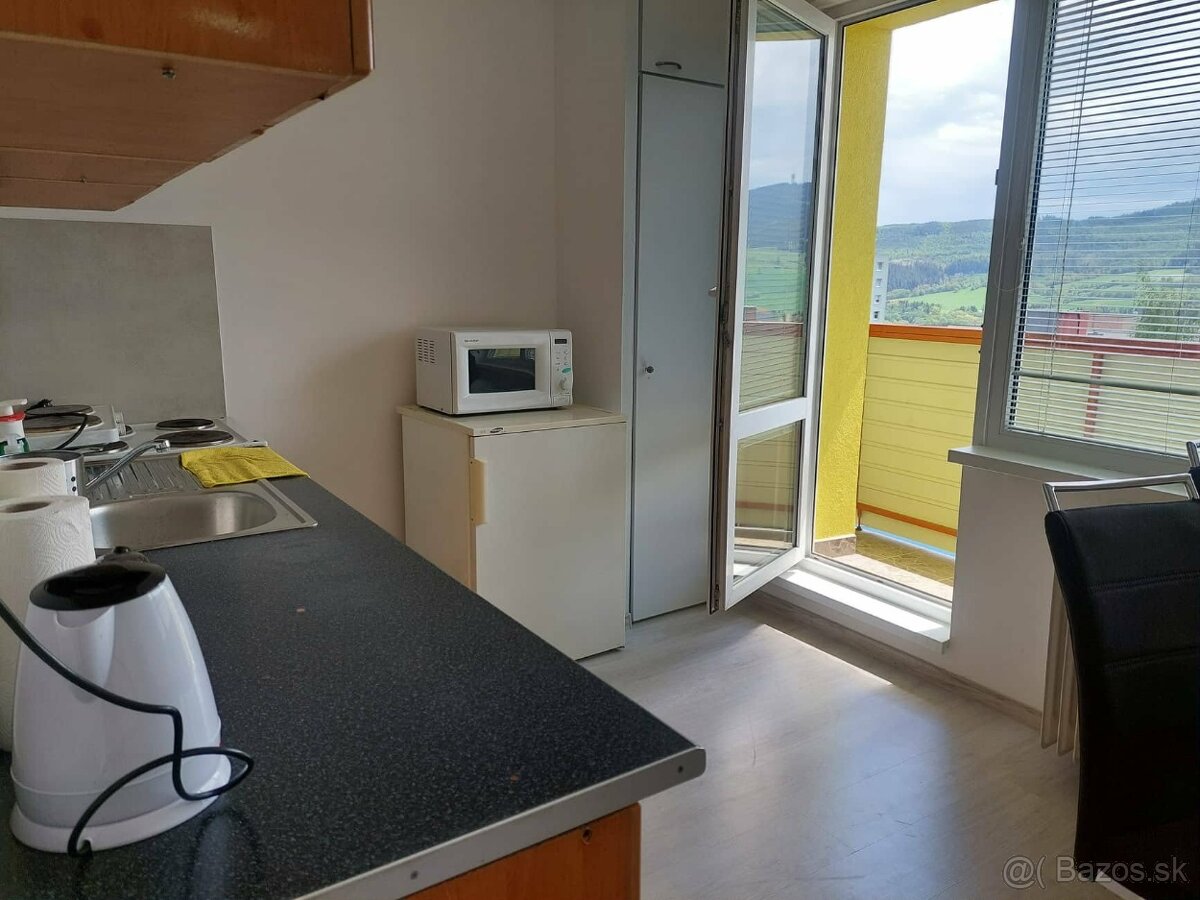 Prenajmem 1 izbový byt s balkónom - 3