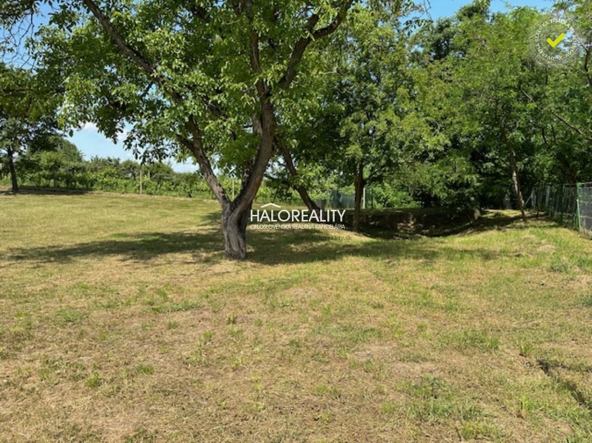 HALO reality - Predaj, rekreačný pozemok Kráľovský Chlmec - - 3