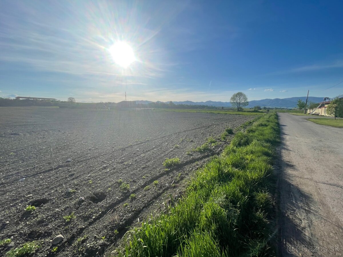 Veľký pozemok s podielom na príjazdovej ceste - Blatnica - 3