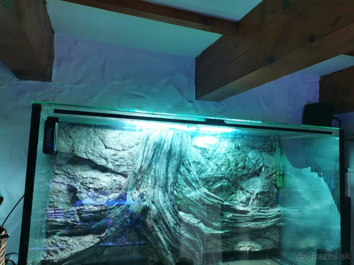 Akvarium - 3