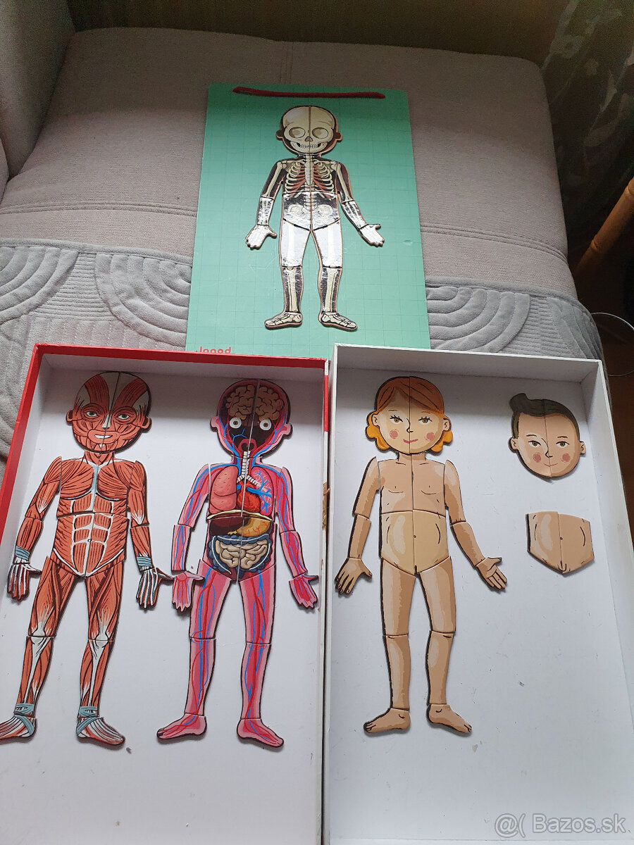 Magnetická skladačka - ľudské telo - 3