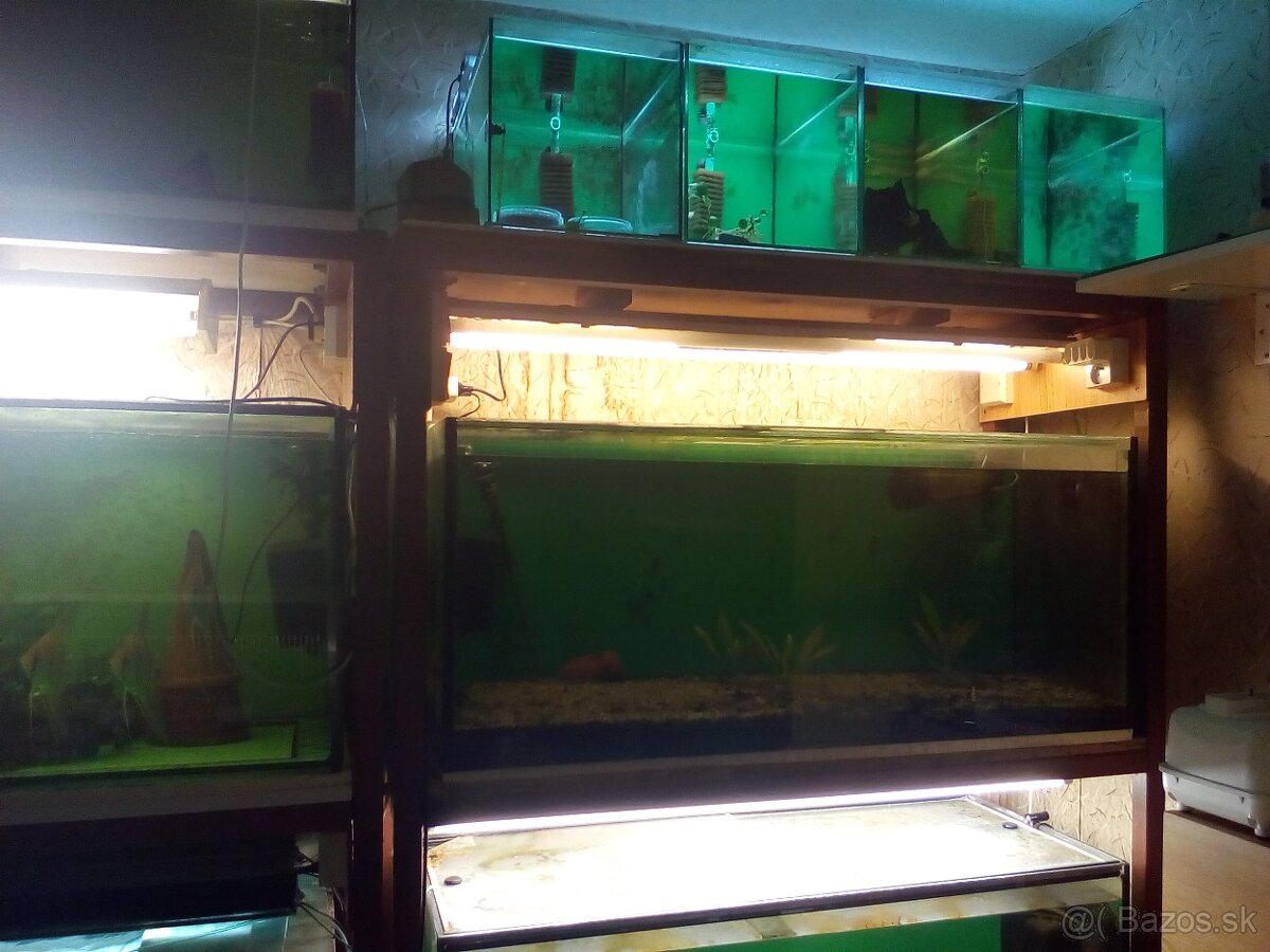 Akváriová stena - 3