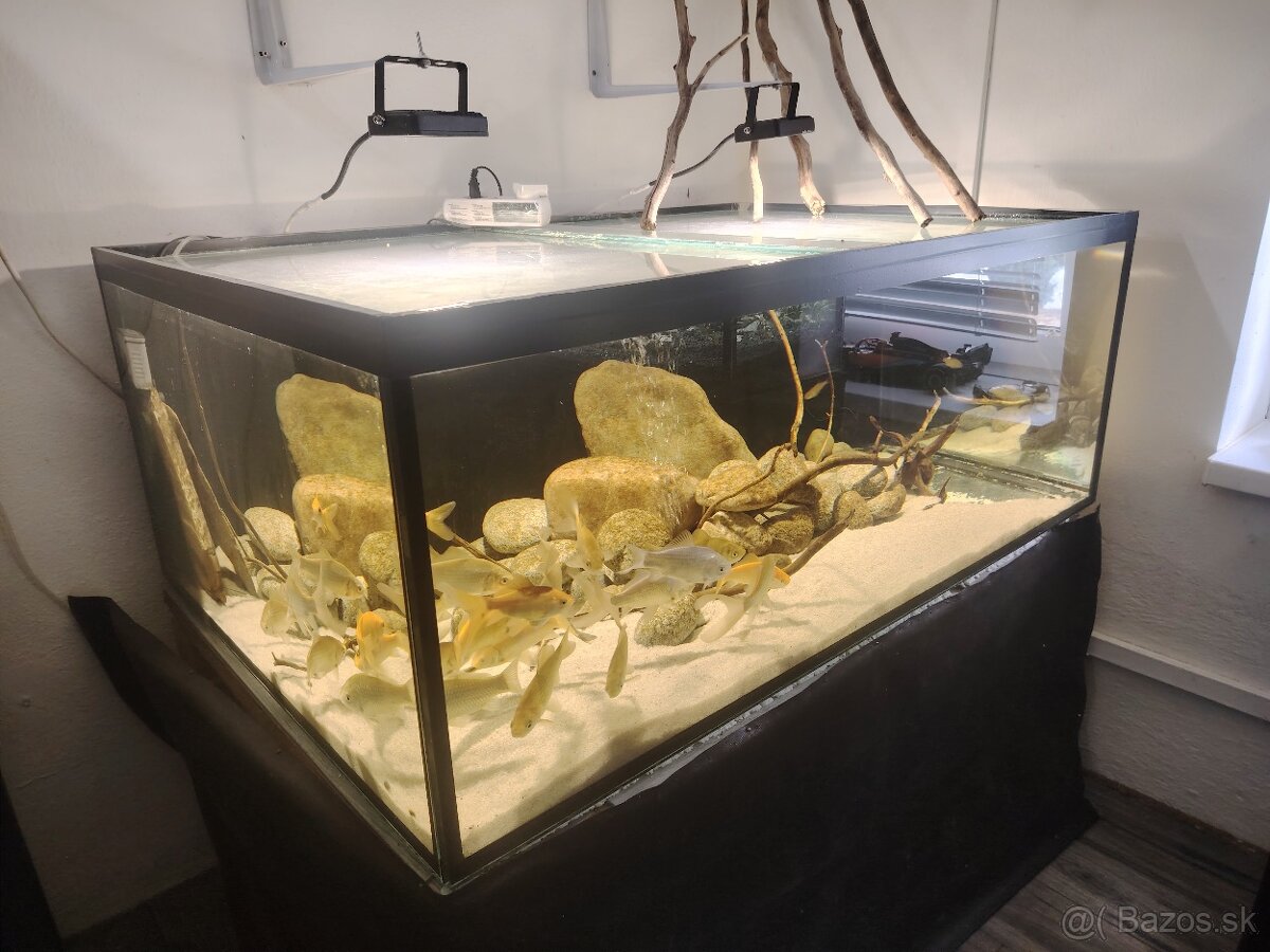Predám akvárium - 3