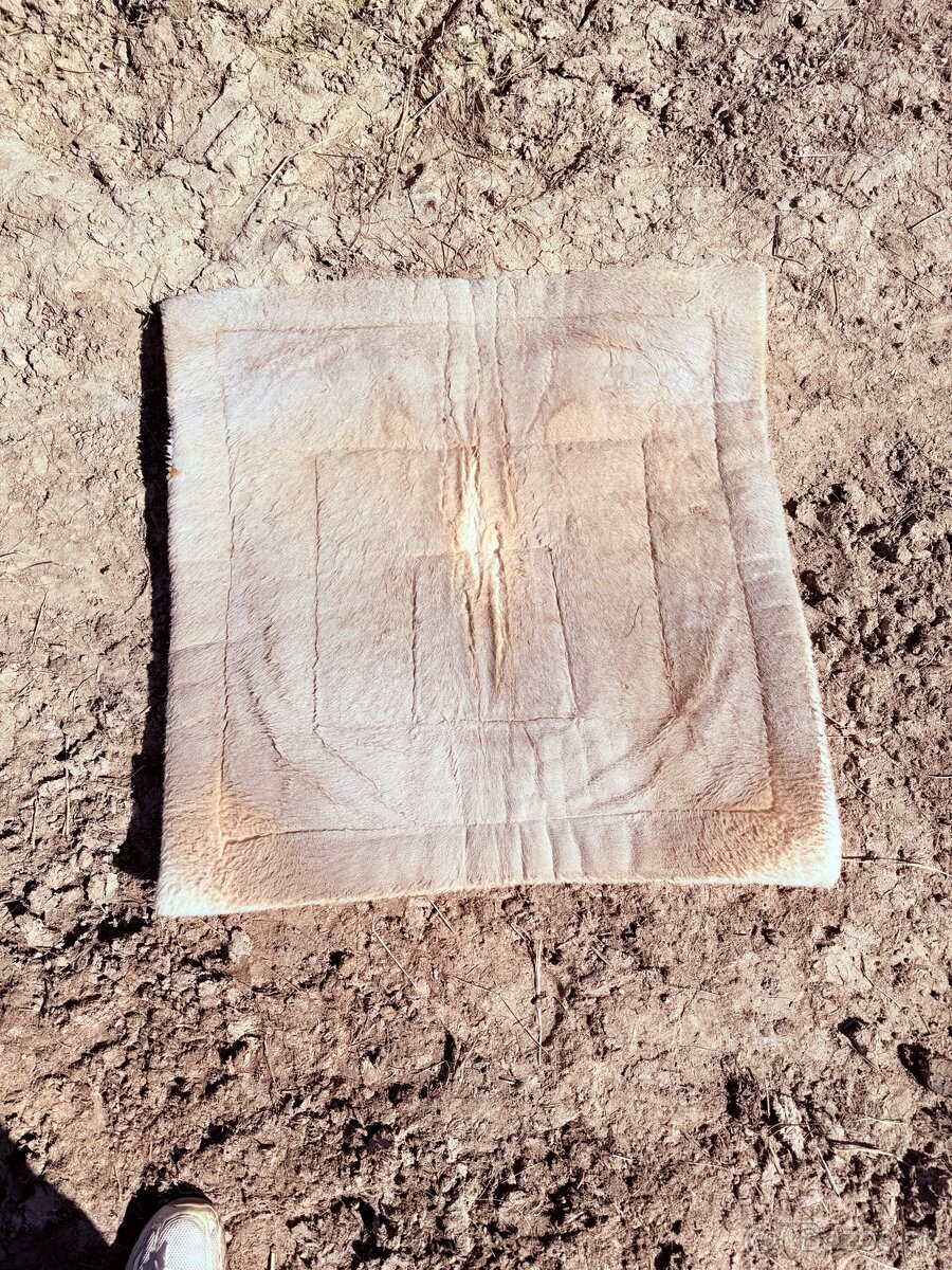 westernova podsedlovka - 3