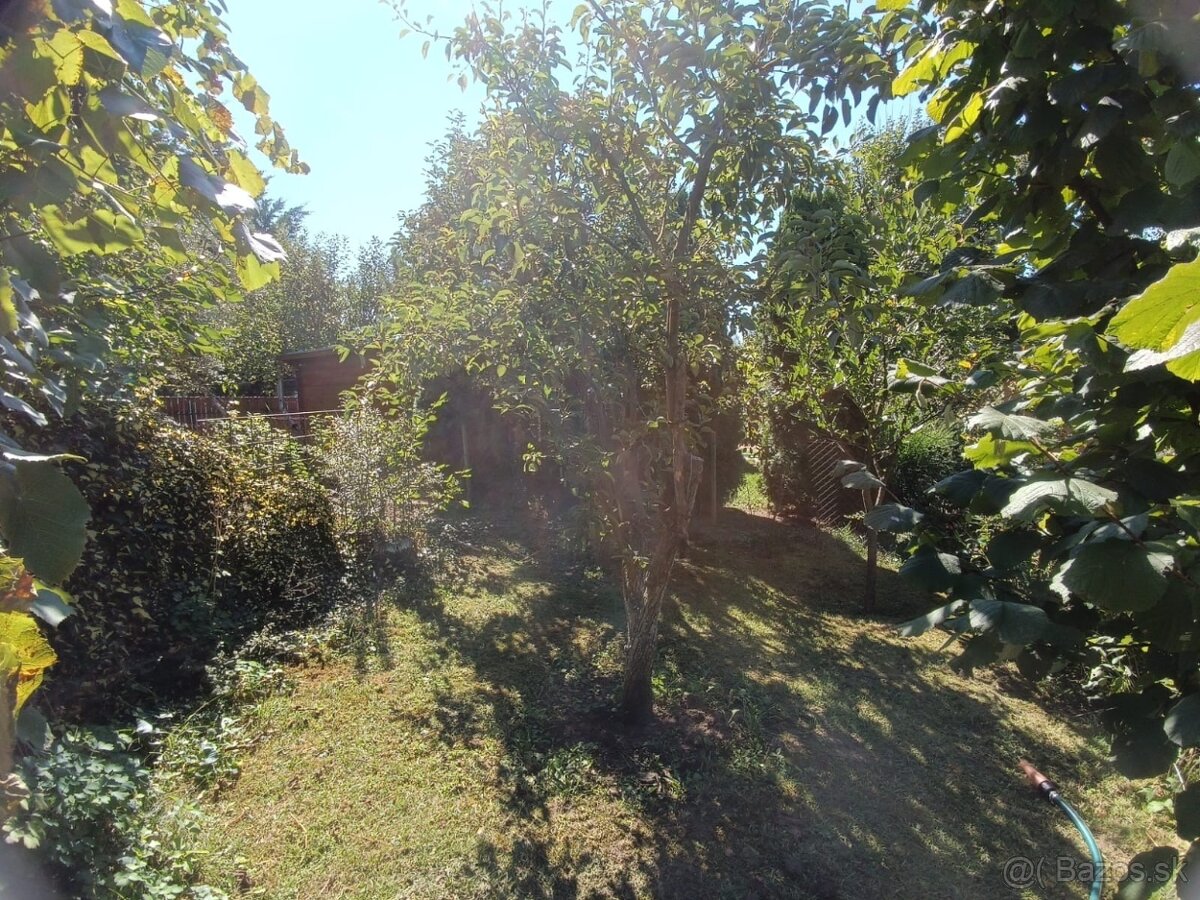 Zahrada v zahradkarskej osade v Sali - 3