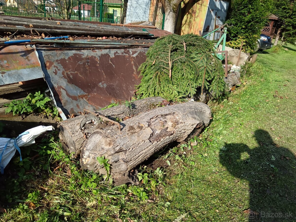 Predaj Orechové drevo - 3