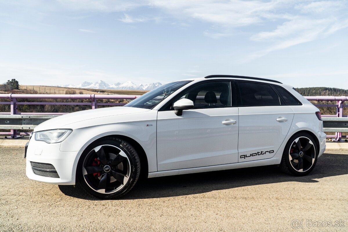 Audi A3 2.0TDI 8V 135kw quattro - 3