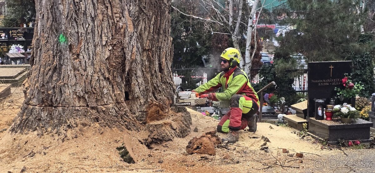 Arboristika, záhradnícke práce - 3