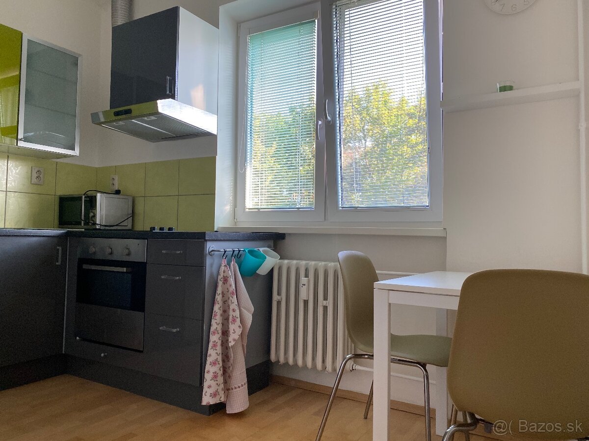 1 izbovy slnecny byt v strede Ruzinova - 3