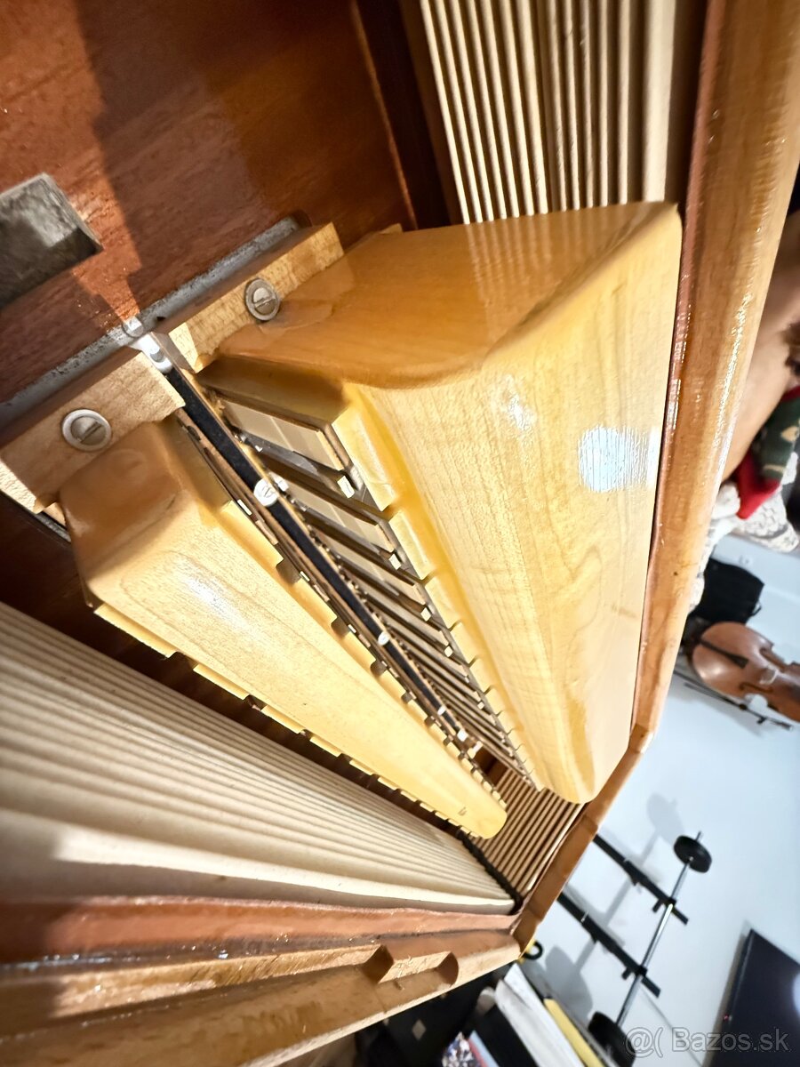 Weltmeister Supita - 3