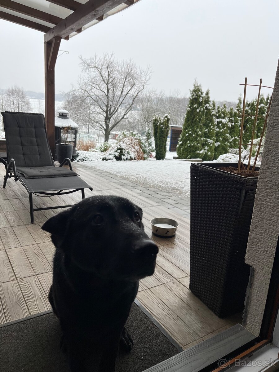 Obyvacia stena na prichytenie - 3