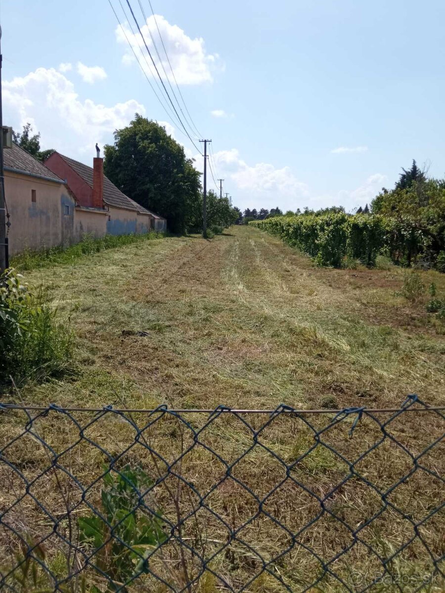 POZEMOK na predaj - ŠOPORŇA, okr. Galanta - 3