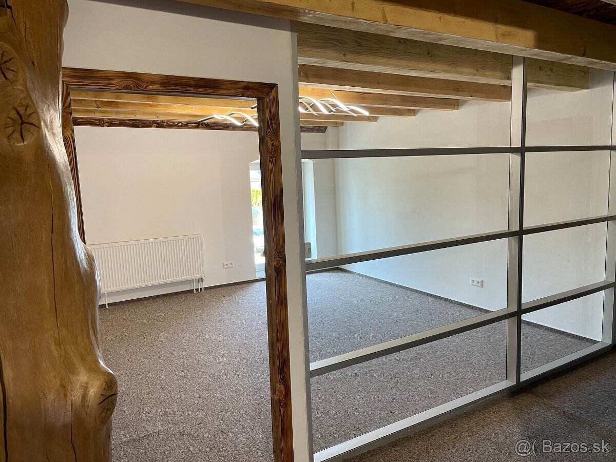 Reprezentatívny priestor 20m² Partizánske - 3