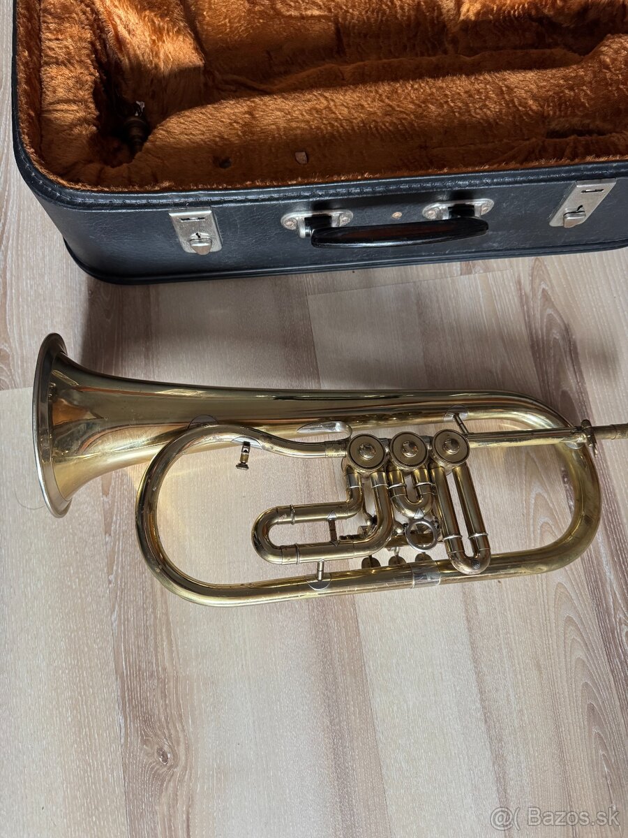 Krídlovka značka Lidl Brno - 3