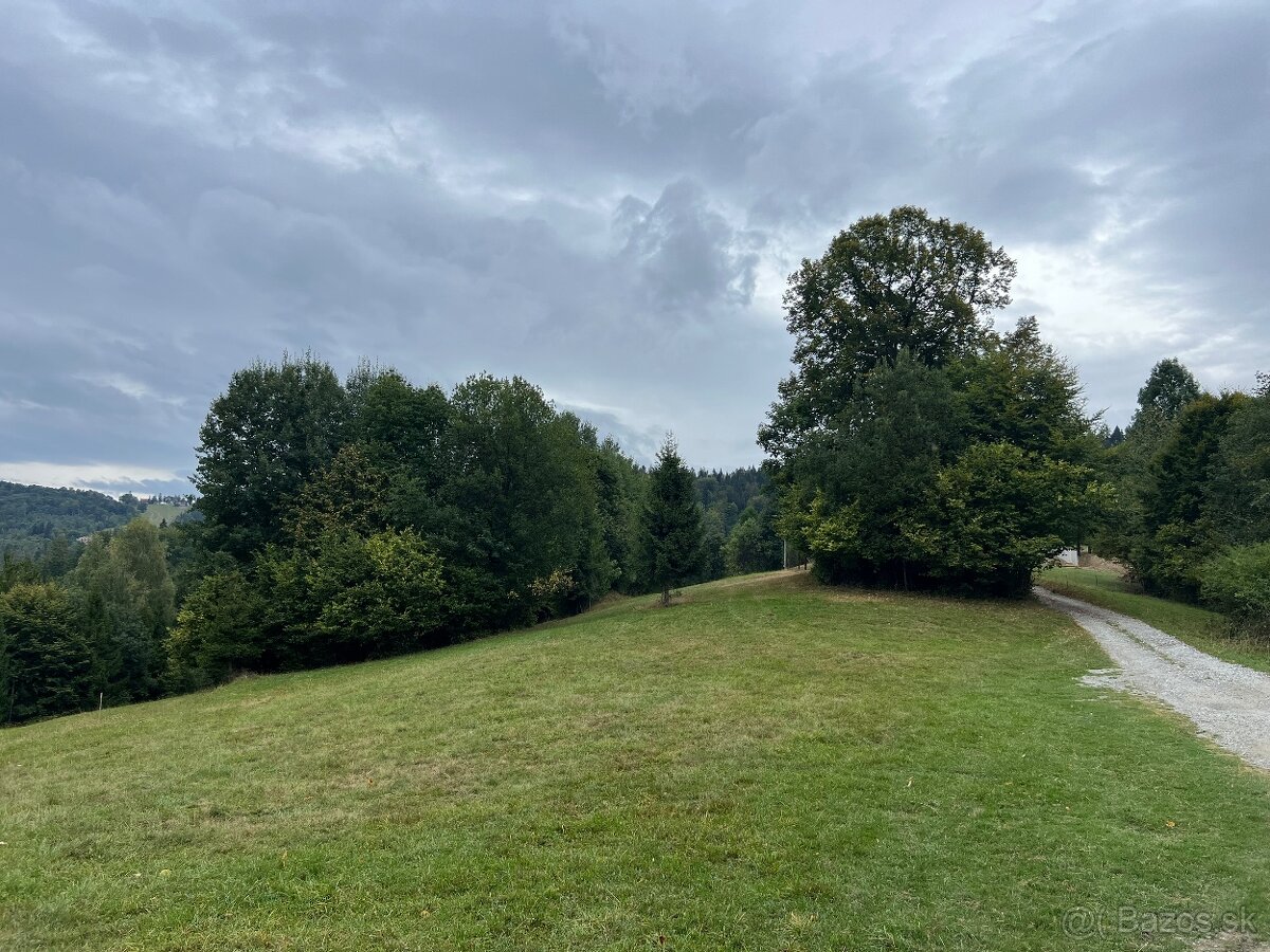 Predáme tri pozemky v Oščadnici časť Dedovka Veľká Rača🎿 - 3