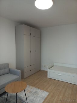 Na prenájom 1 izbový byt pri auparku - Voľný ihned - 3