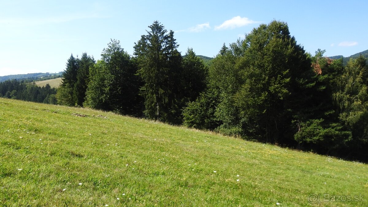 Pozemok na predaj 5 eur m2 Ski Park Desna - 3