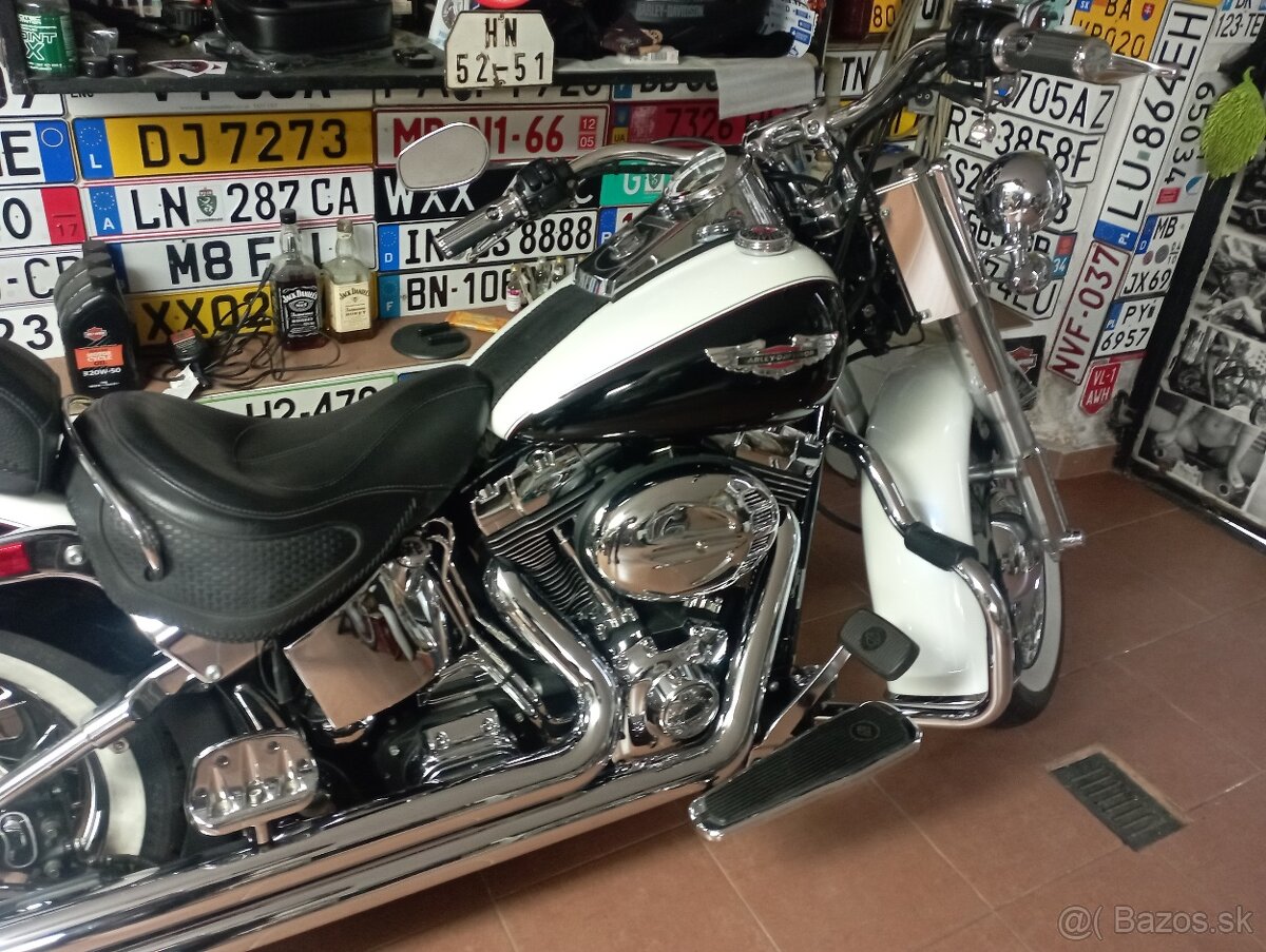Harley Davidson Softail - 3