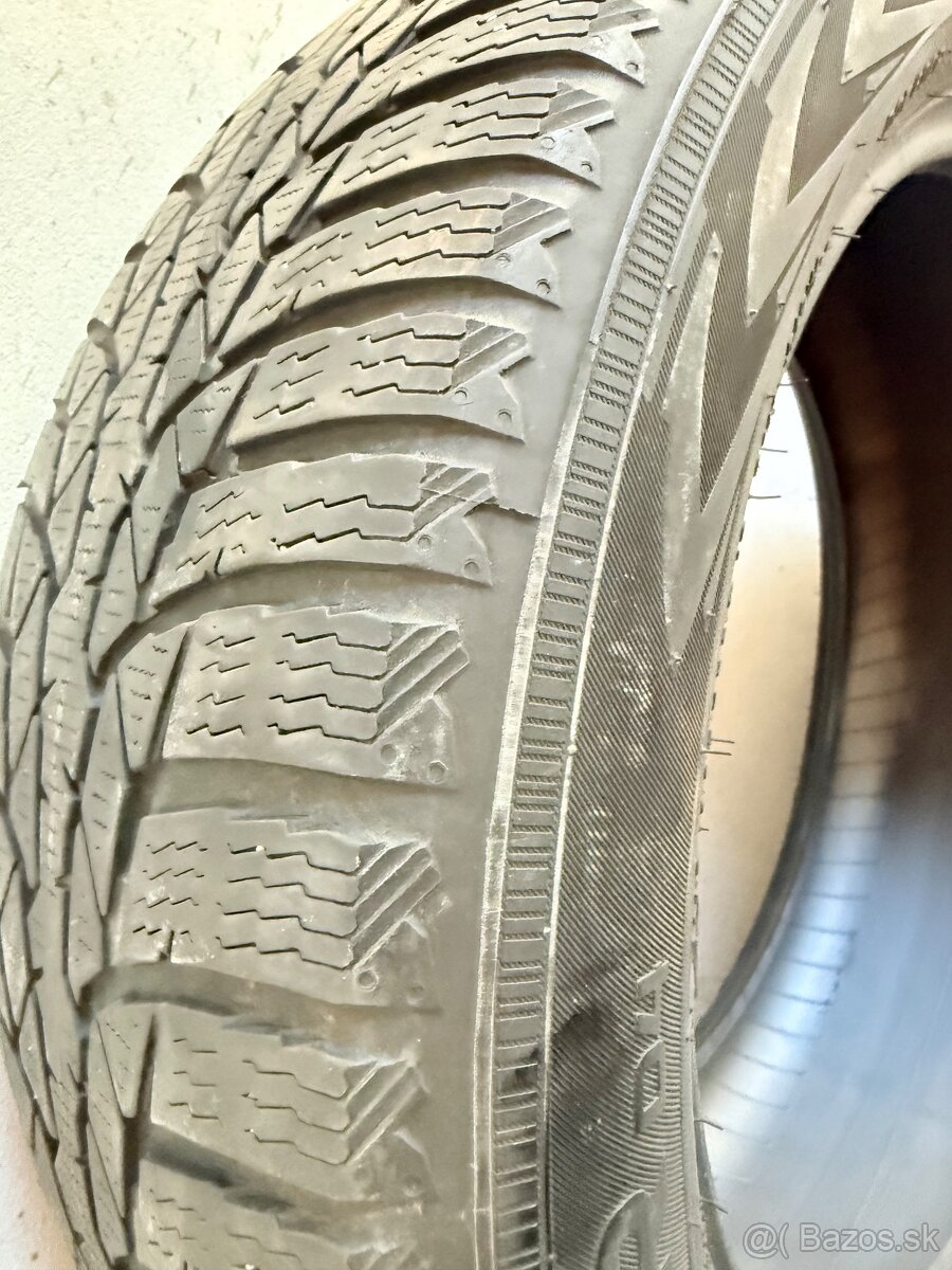 Nokian WR D4 205/55/R16 91H - 3