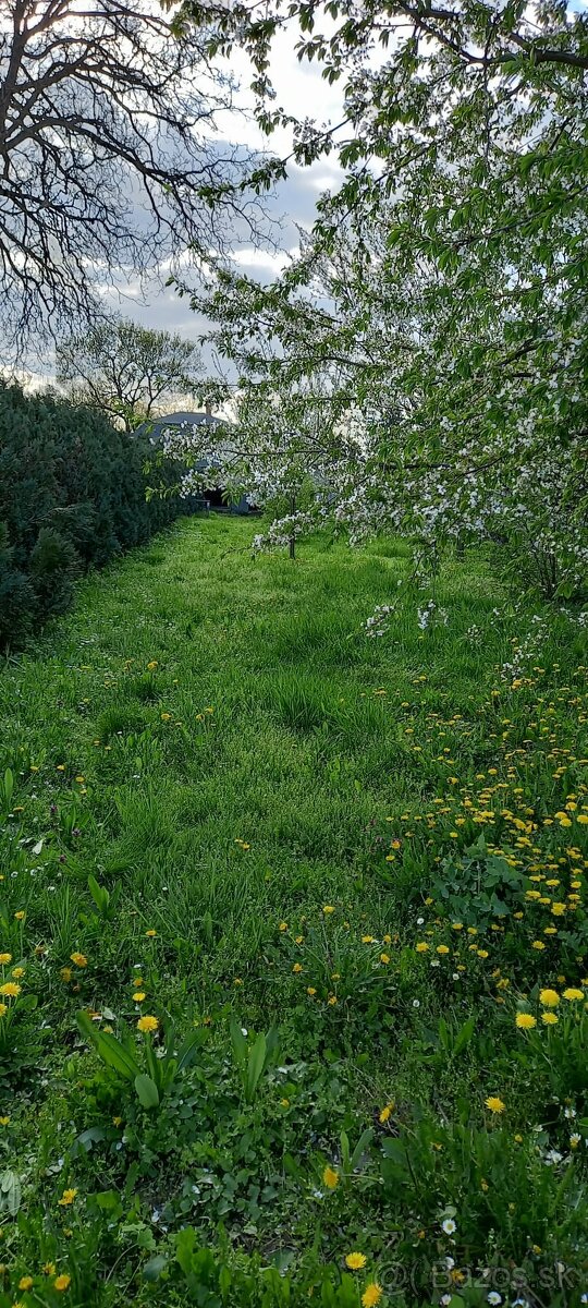 Predaj pozemku v Komárovciach - 3