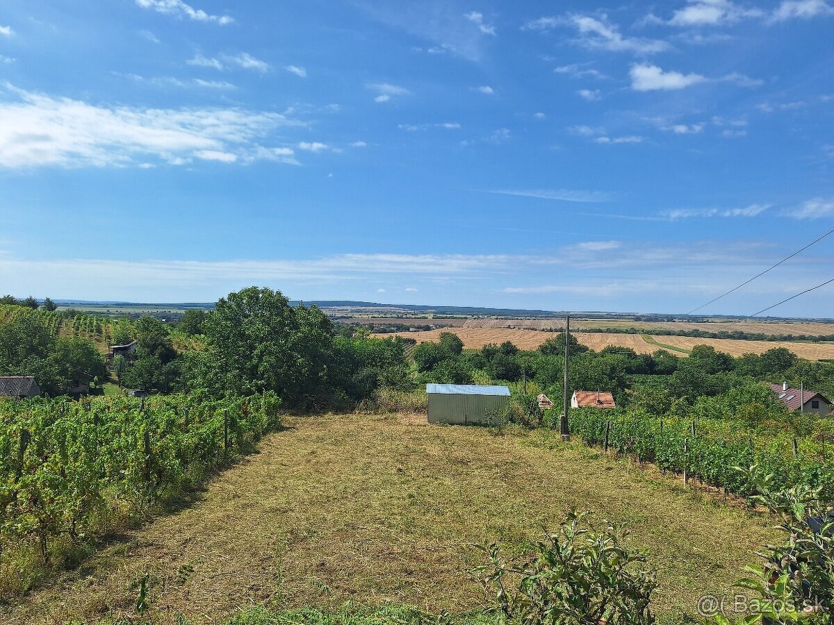 Na predaj dva viničné domčeky, Strekov - 3