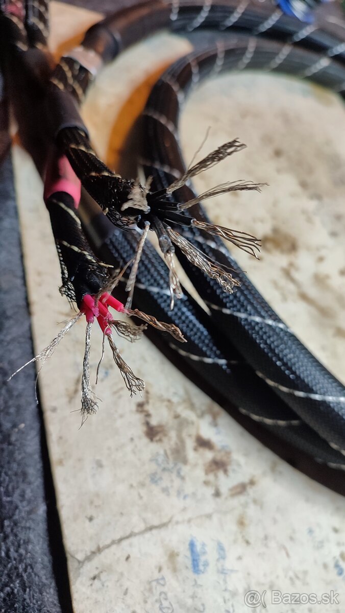 Alphard-Da Vinci - 3