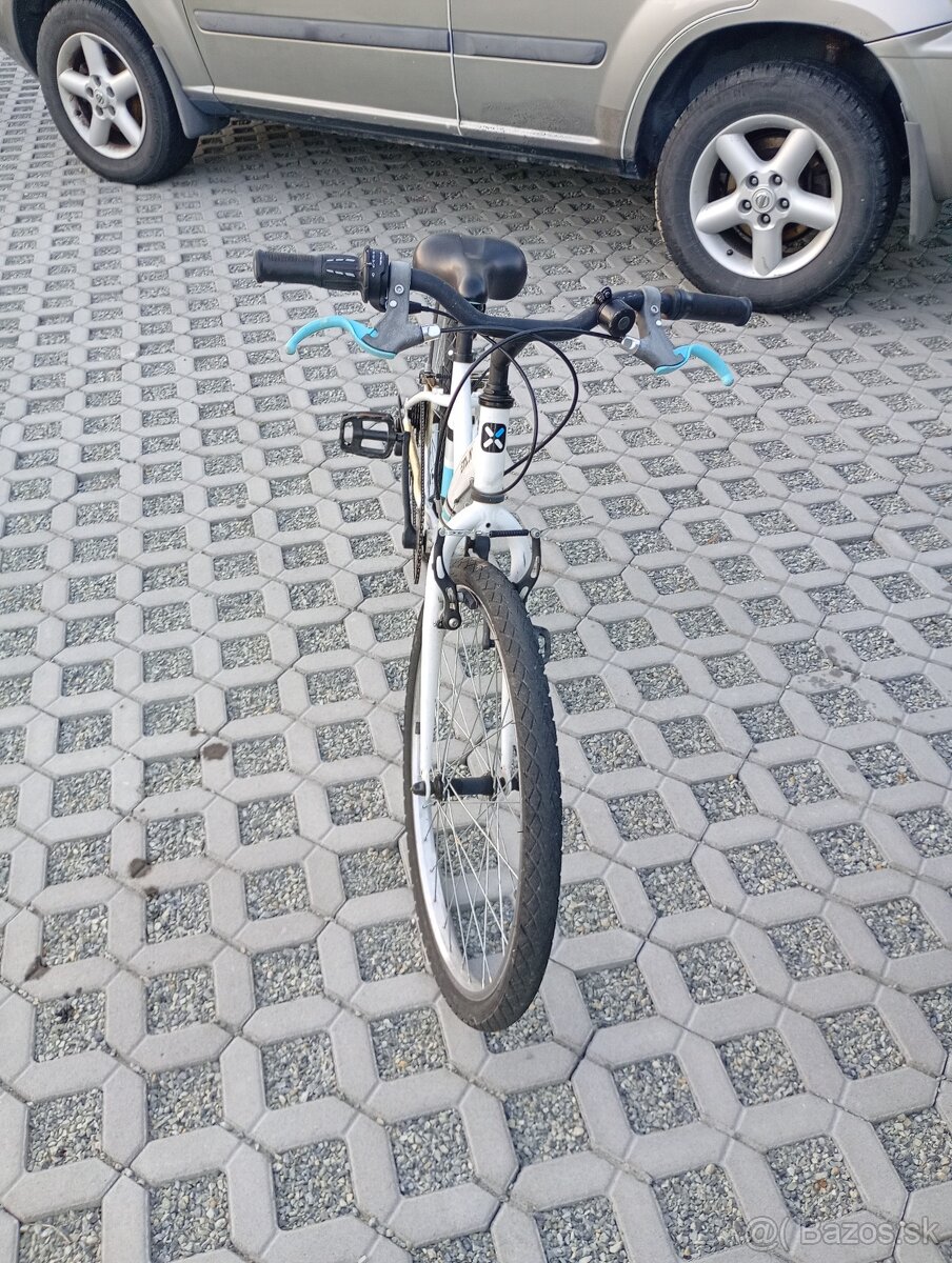 B Twin 24" - 3