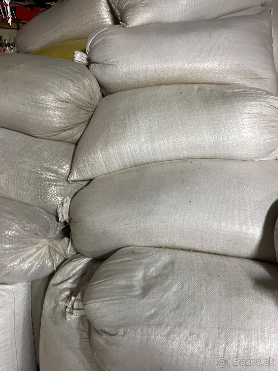 Jačmen jarny 2025 - 3